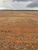 Terreno, 2 hectares - Foto 2