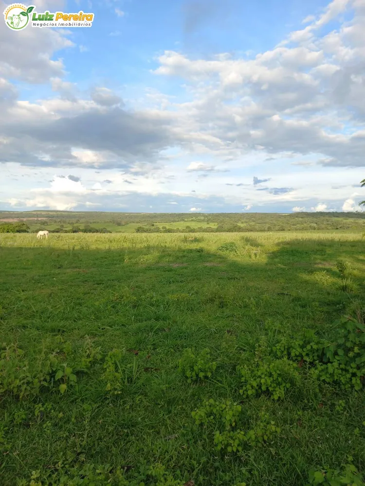 Terreno, 3675 m² - Foto 7