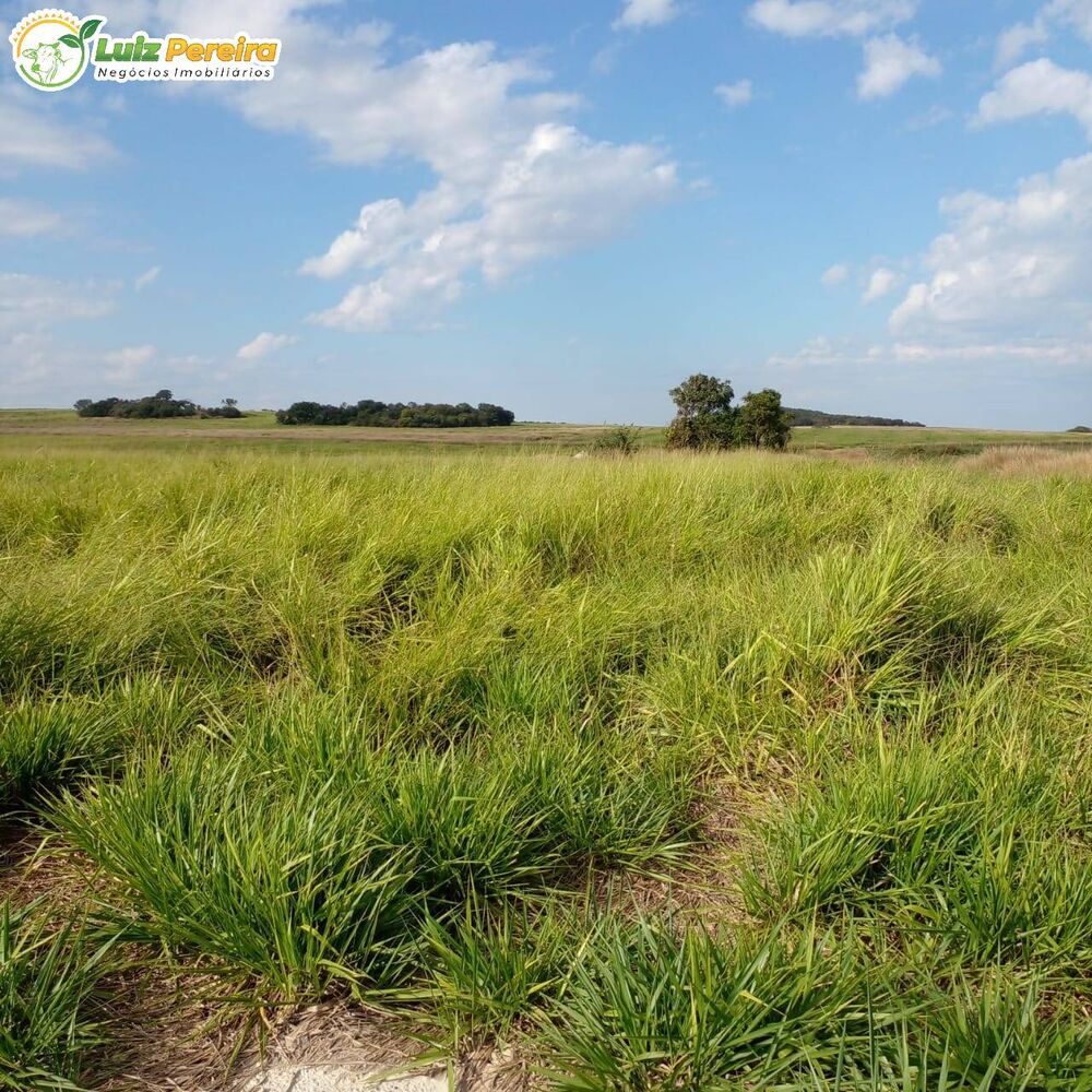 Terreno, 3675 m² - Foto 7