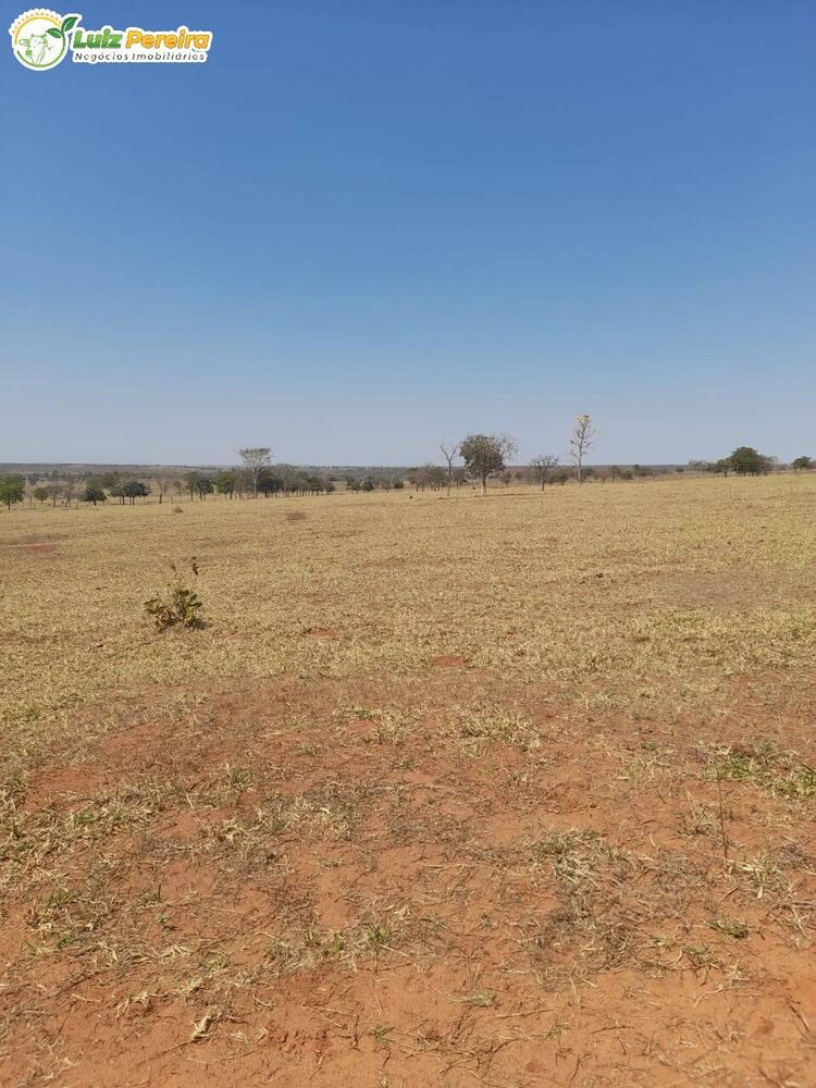 Terreno, 1250 m² - Foto 1