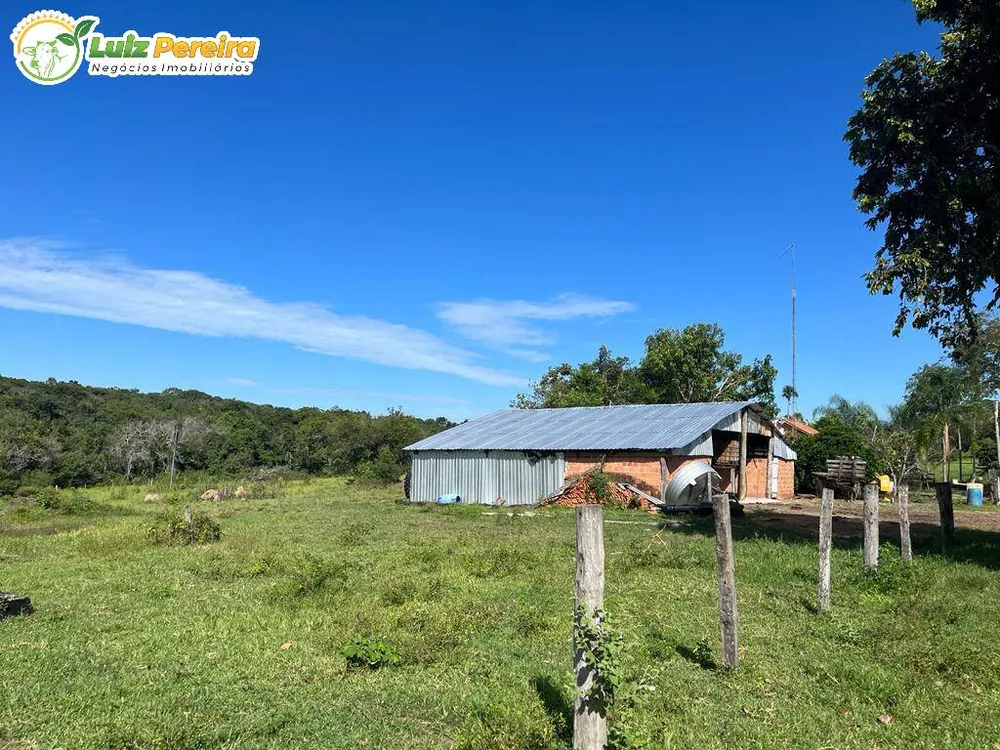 Terreno, 11495 hectares - Foto 9