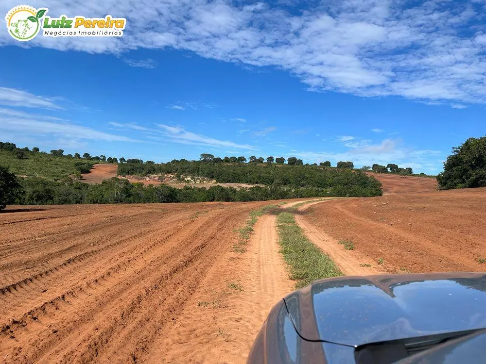 Terreno, 11495 hectares - Foto 15