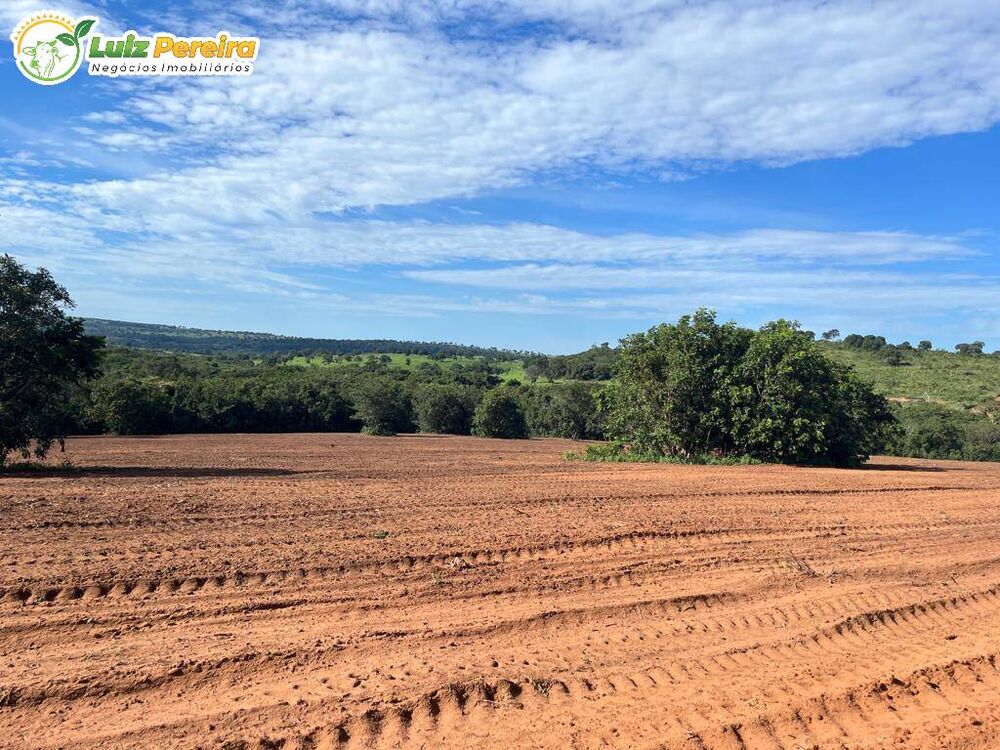 Terreno, 11495 hectares - Foto 4