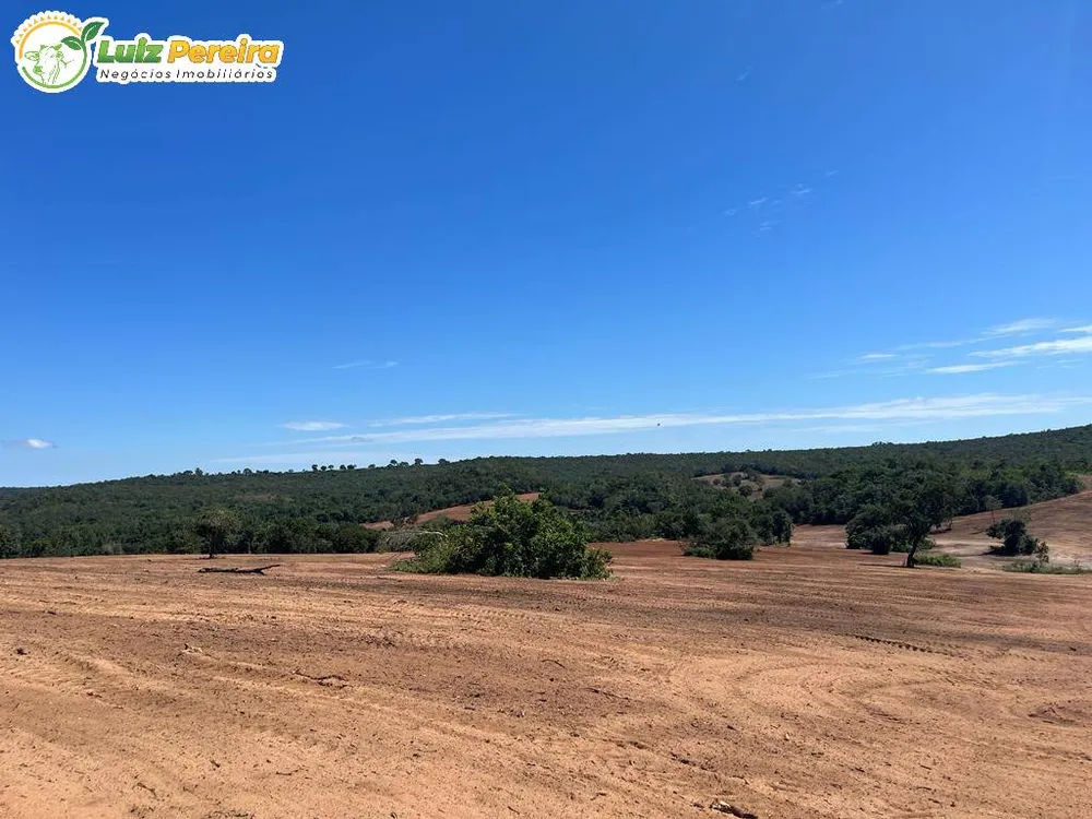 Terreno, 11495 hectares - Foto 12