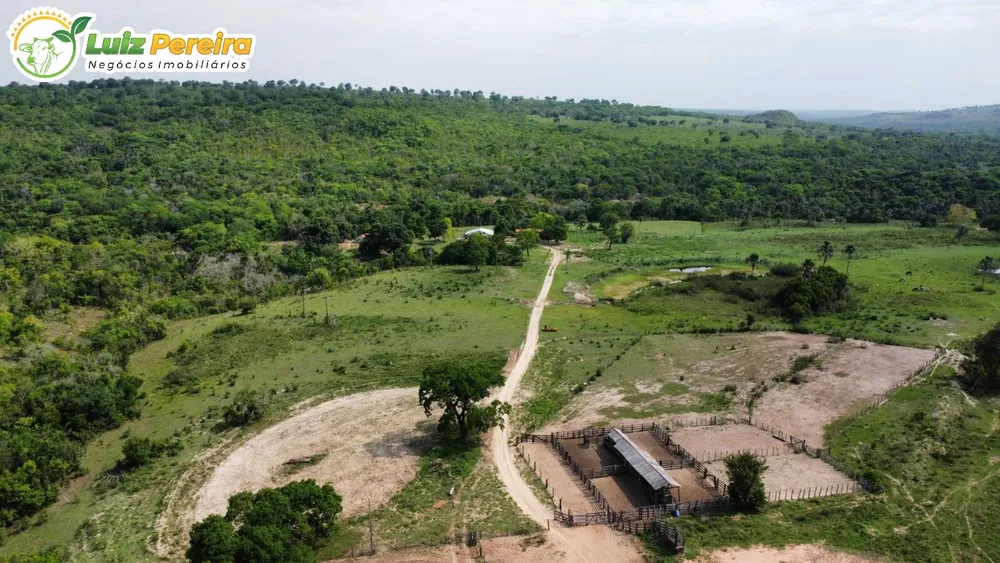 Terreno, 11495 hectares - Foto 3