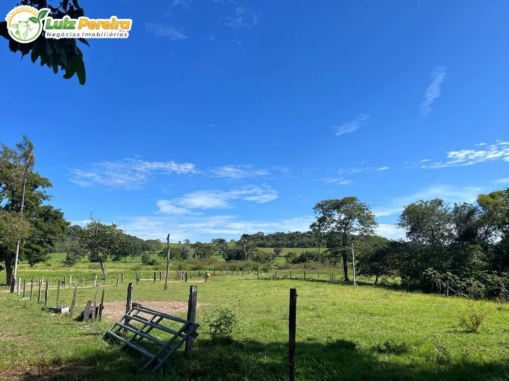 Terreno, 11495 hectares - Foto 8
