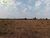 Terreno, 200 hectares - Foto 3