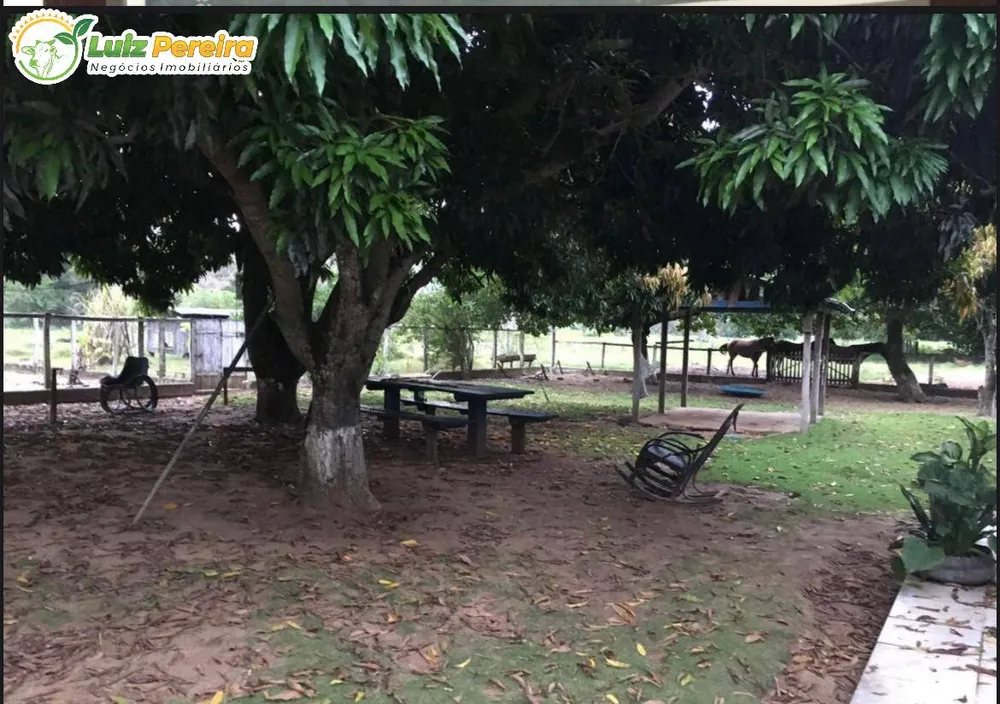 Terreno, 4 hectares - Foto 2