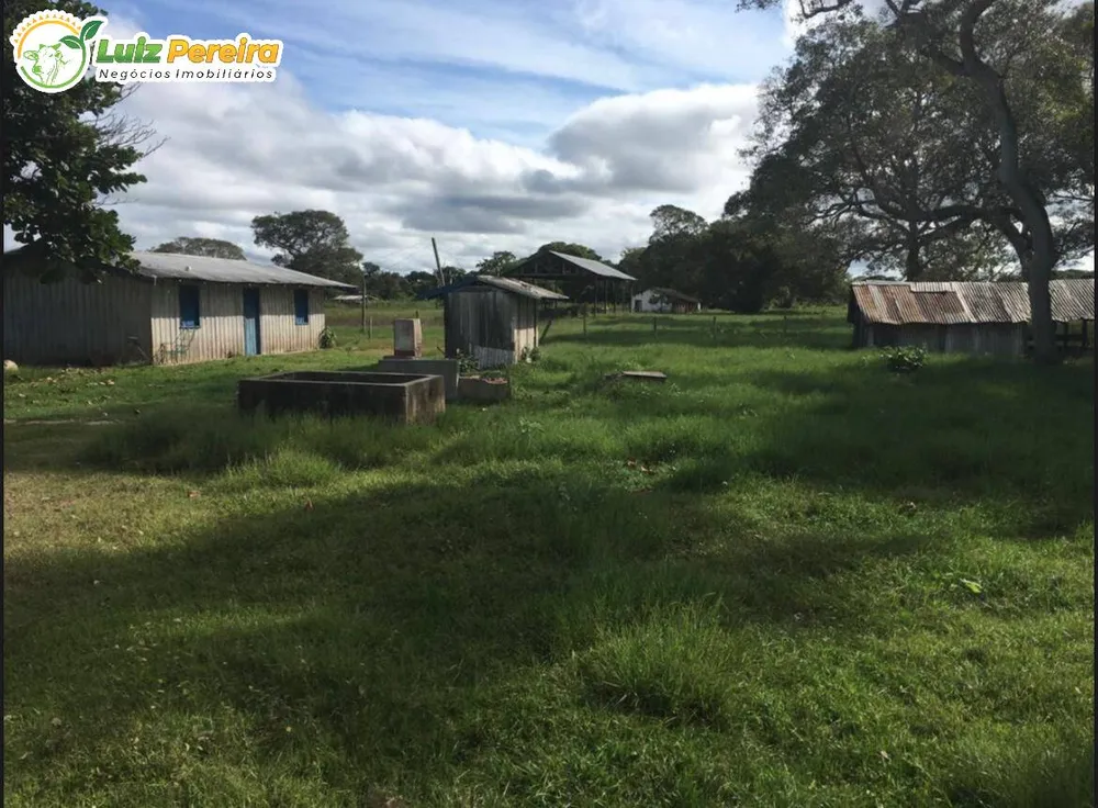Terreno, 4 hectares - Foto 8