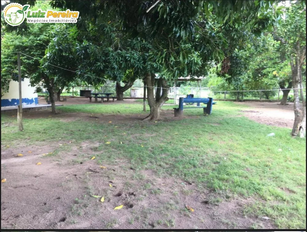 Terreno, 4 hectares - Foto 7