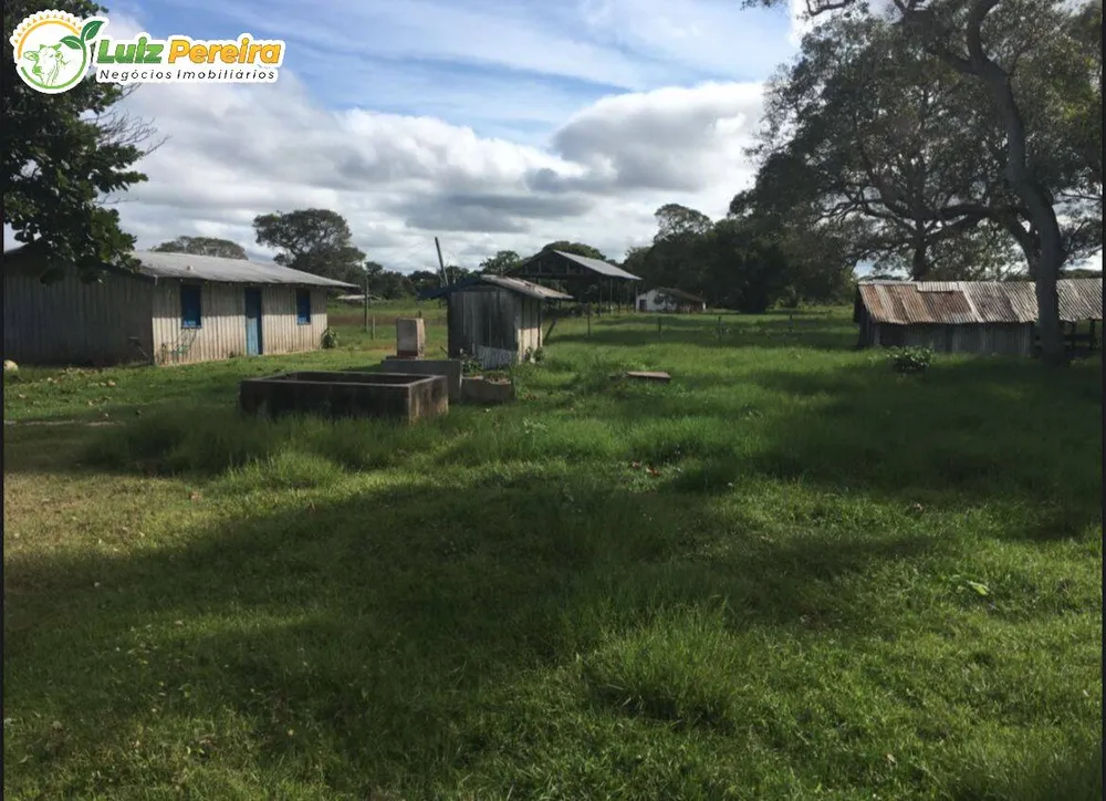 Terreno, 4 hectares - Foto 6