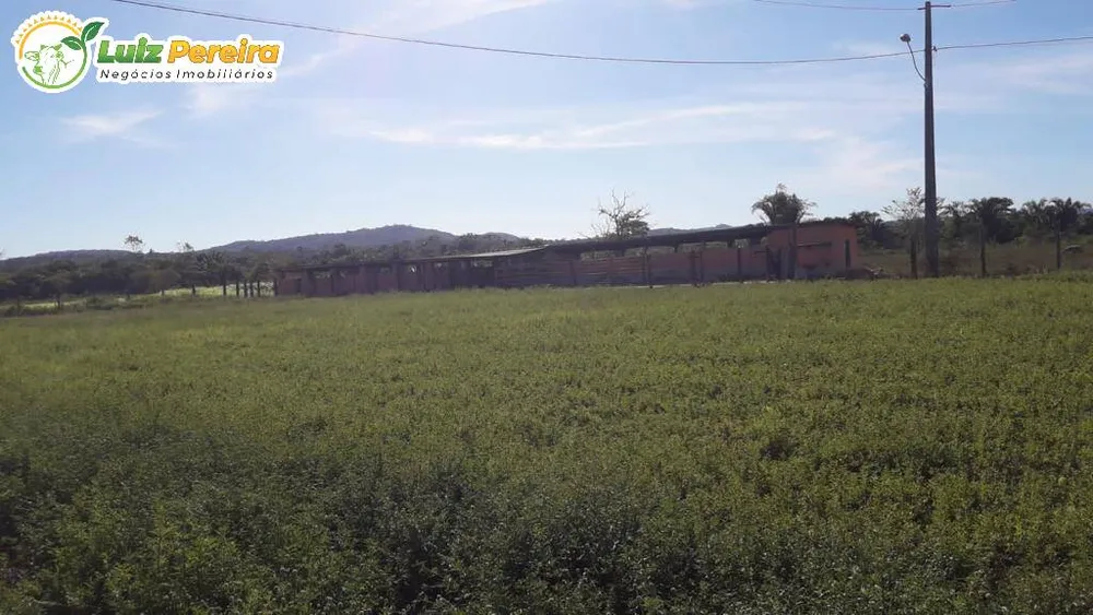 Terreno, 5808 m² - Foto 5