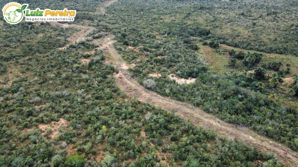 Terreno, 5900 hectares - Foto 1