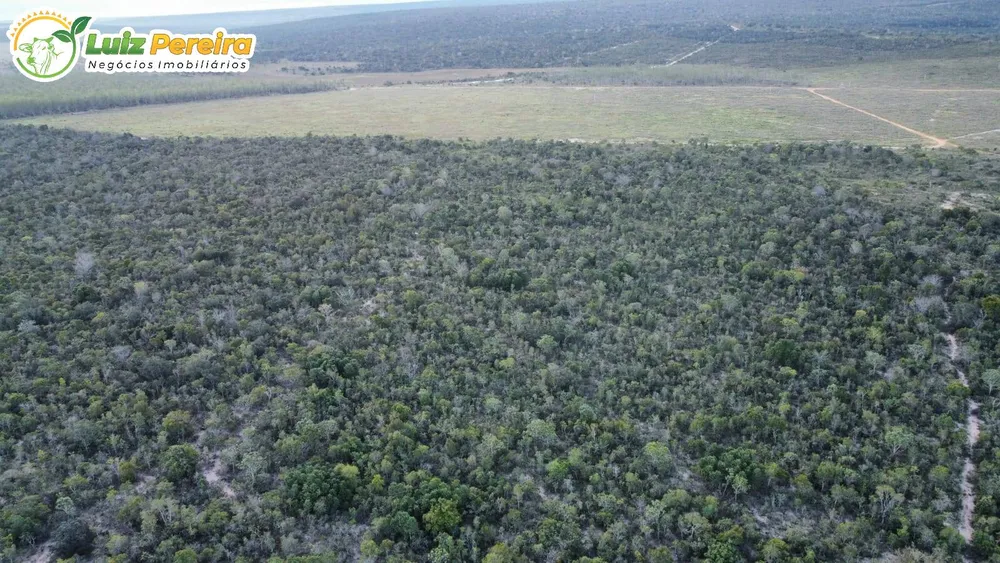 Terreno, 5900 hectares - Foto 2
