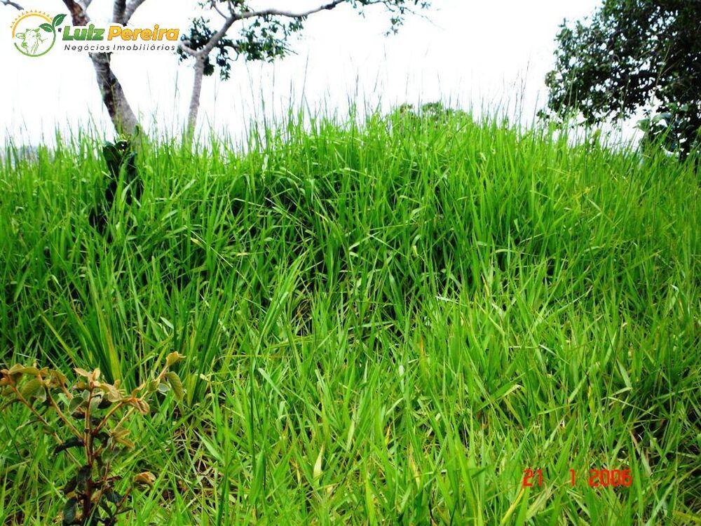 Terreno, 5900 hectares - Foto 2