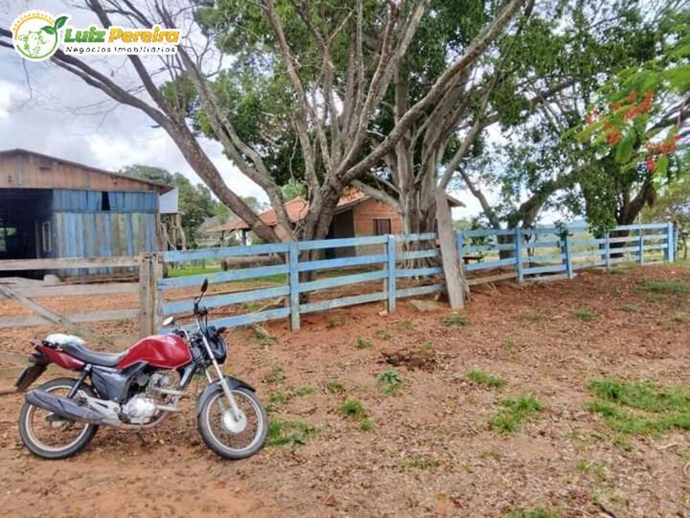 Terreno, 5900 hectares - Foto 4