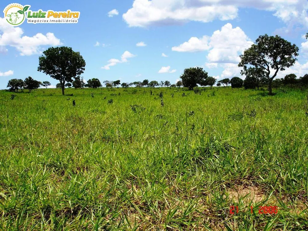 Terreno, 5900 hectares - Foto 3