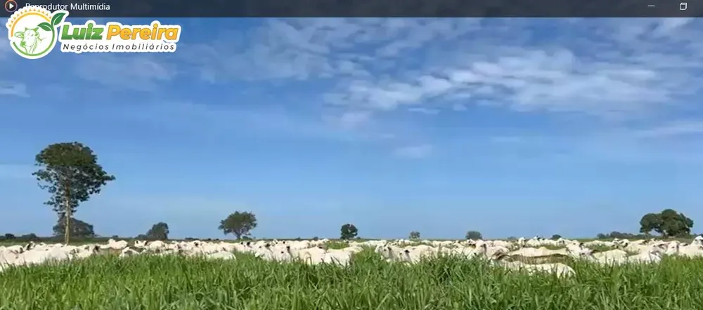 Terreno, 2 hectares - Foto 6
