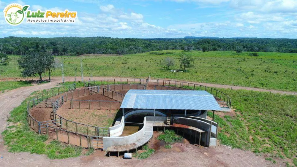 Terreno, 2 hectares - Foto 6