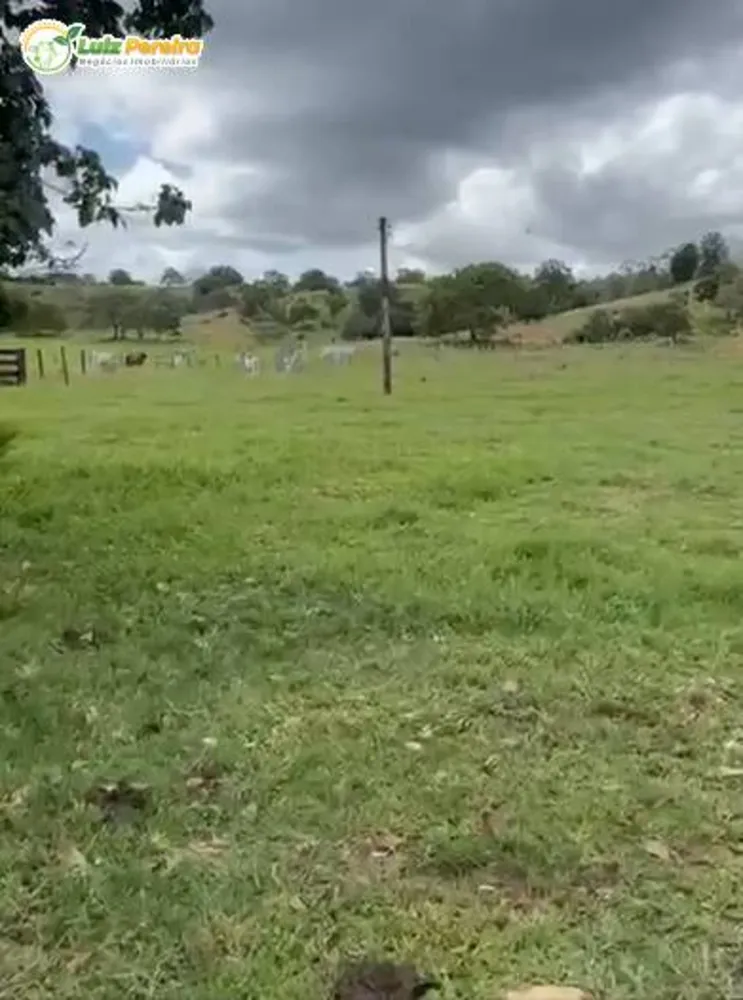 Terreno, 2 hectares - Foto 1