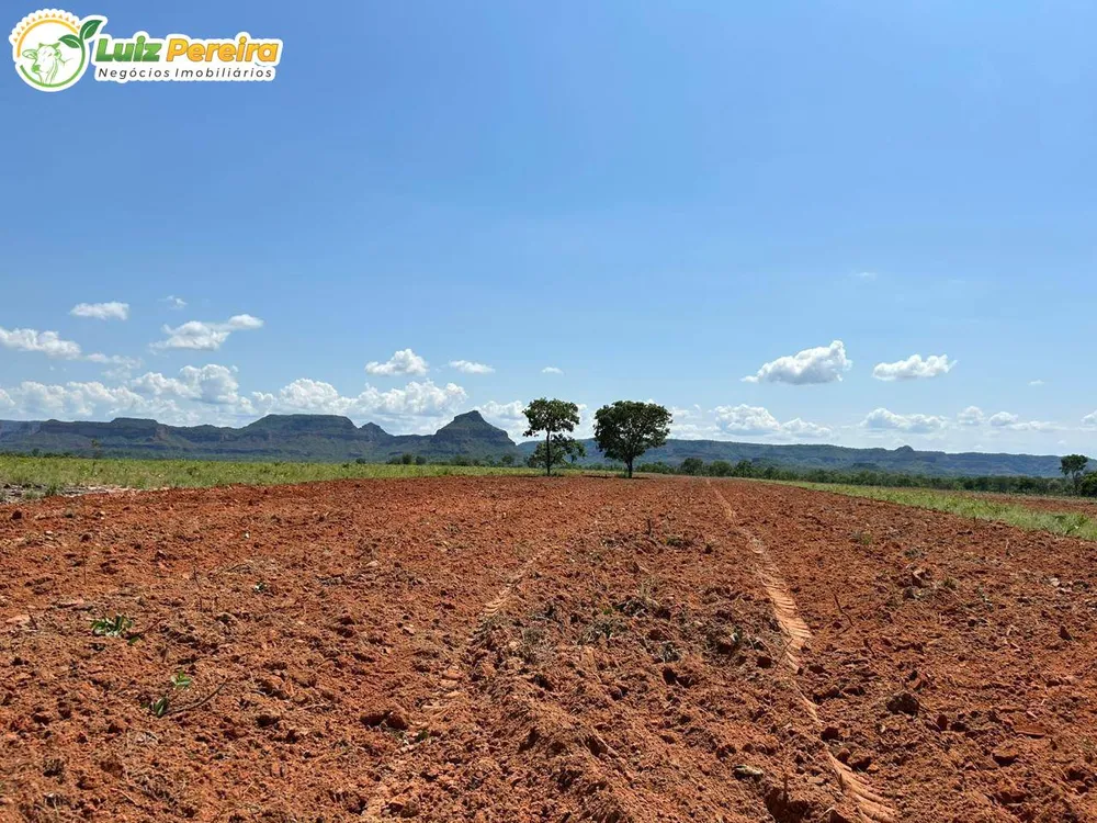 Terreno, 2 hectares - Foto 14