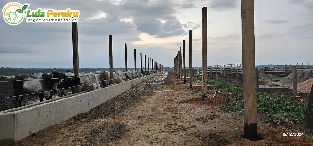 Terreno, 6312 m² - Foto 8