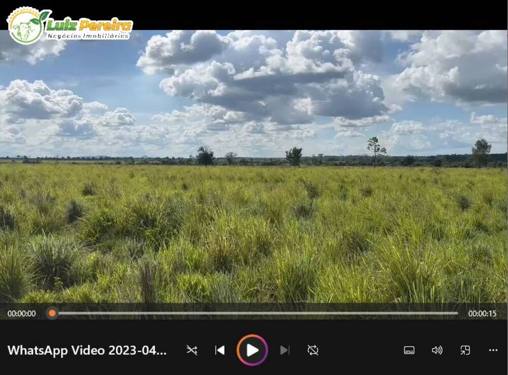 Terreno, 4477 hectares - Foto 4