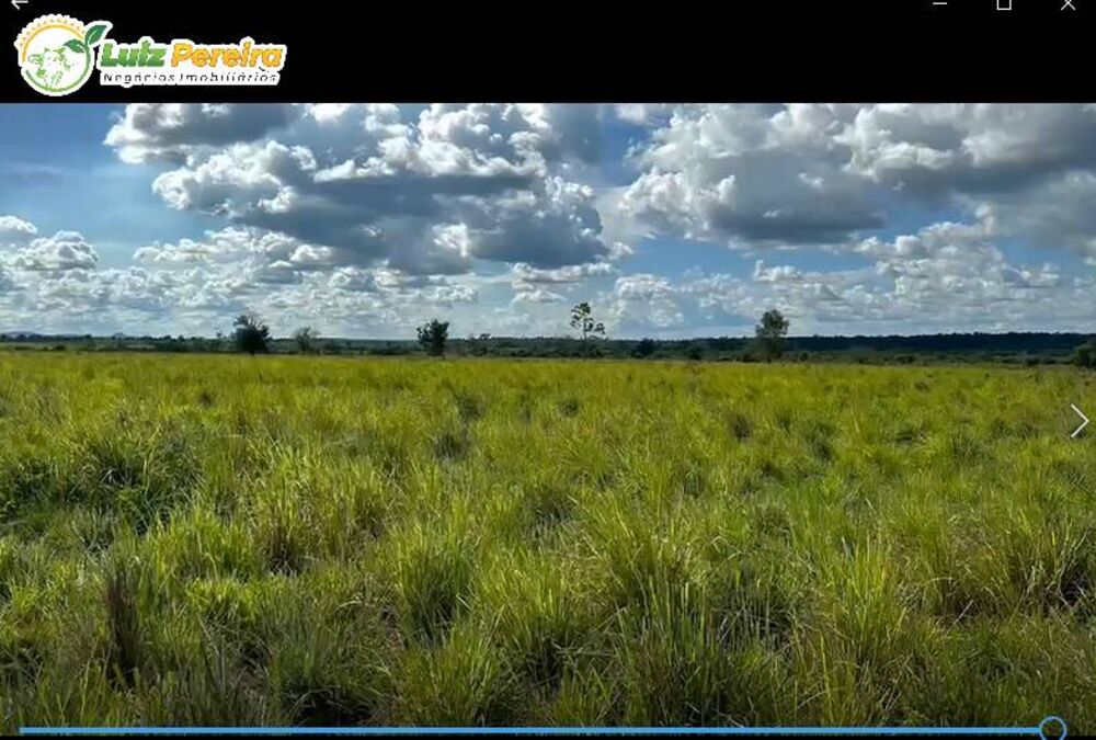 Terreno, 4477 hectares - Foto 3