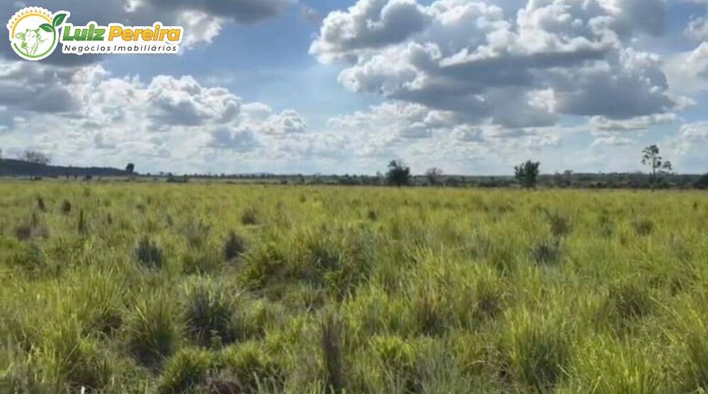 Terreno, 4477 hectares - Foto 2