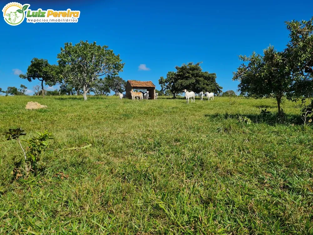 Terreno, 2000 m² - Foto 2