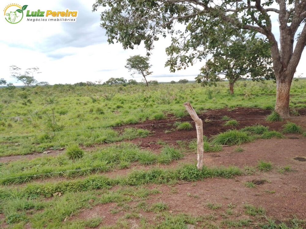 Terreno à venda, 15488000m² - Foto 3