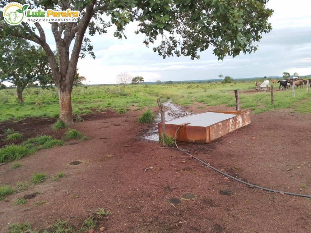 Terreno à venda, 15488000m² - Foto 4