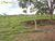 Terreno, 1549 hectares - Foto 3