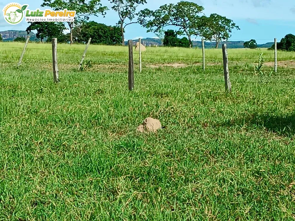 Terreno, 20 m² - Foto 3