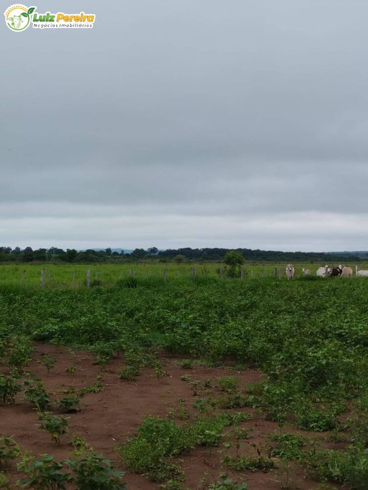 Terreno, 45 m² - Foto 1