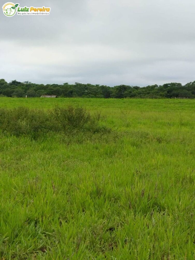 Terreno, 45 m² - Foto 5