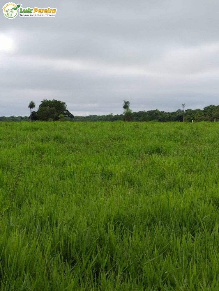 Terreno, 45 m² - Foto 4