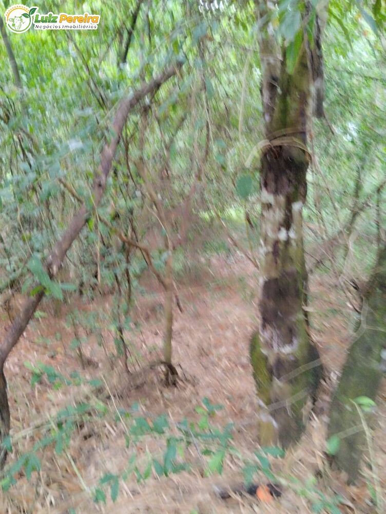 Terreno, 45 m² - Foto 10