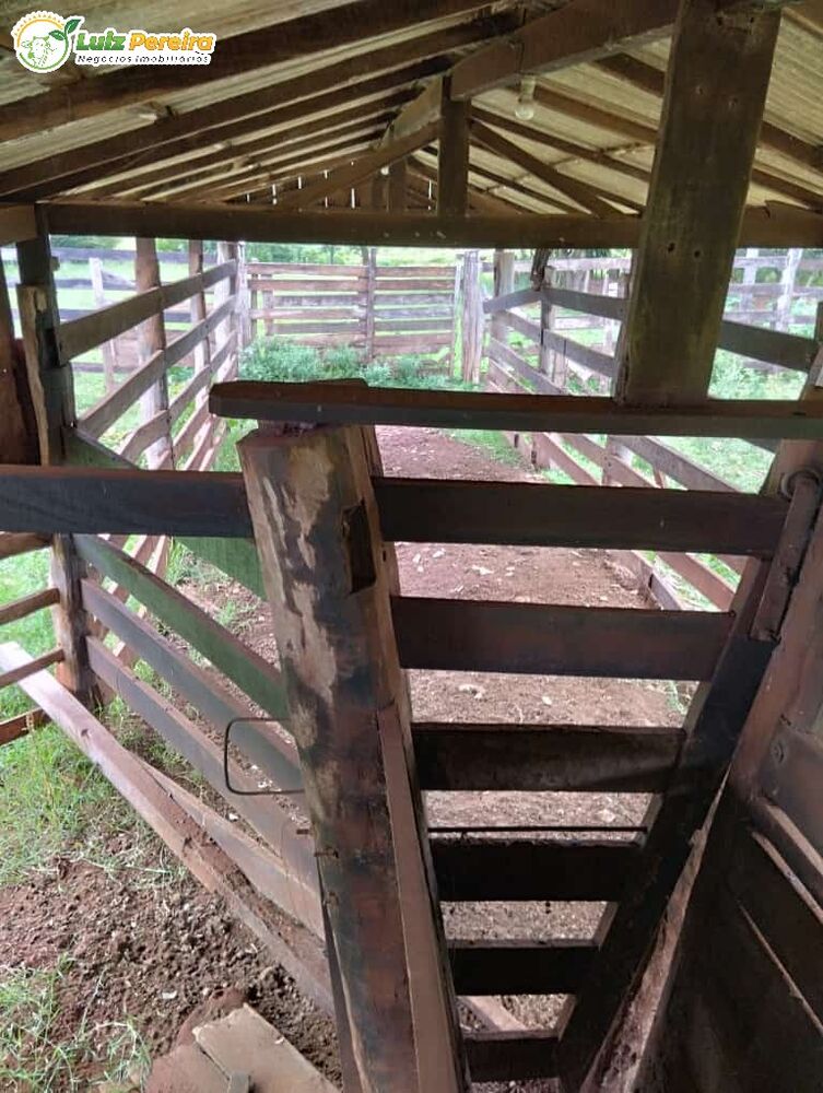 Terreno, 45 m² - Foto 7