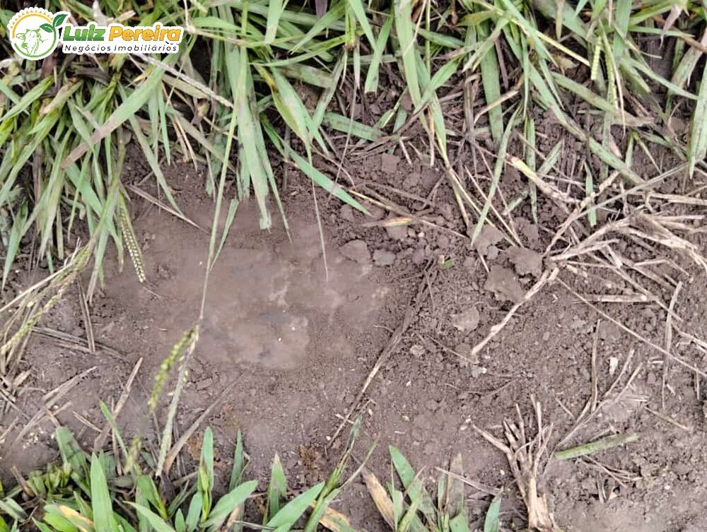 Terreno, 45 m² - Foto 9