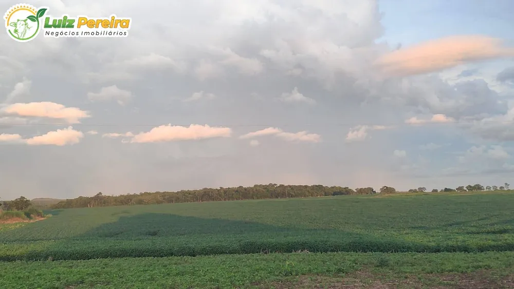 Terreno, 69212 hectares - Foto 4