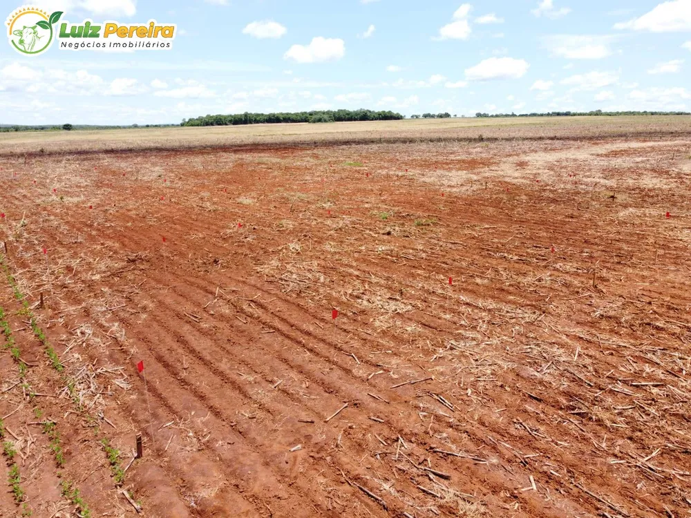 Terreno, 69212 hectares - Foto 3