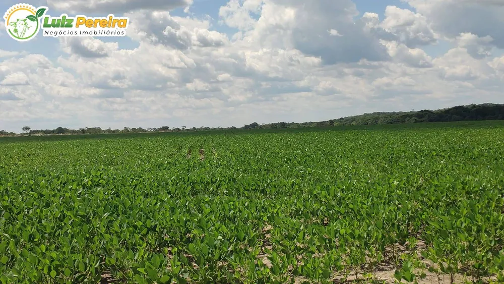 Terreno, 69212 hectares - Foto 7