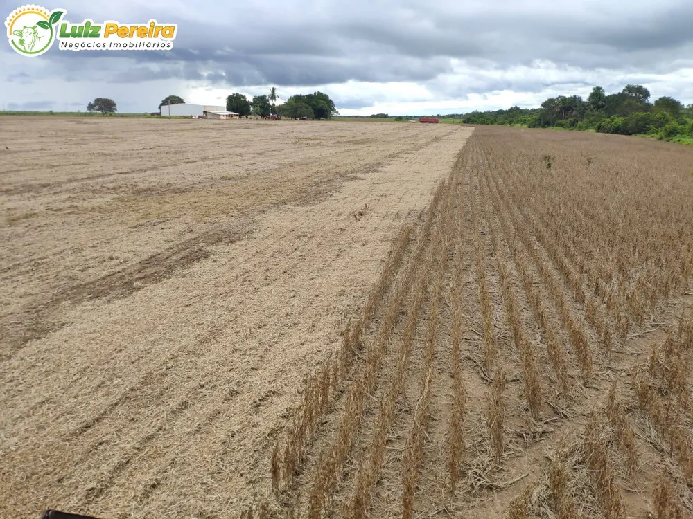 Terreno, 69212 hectares - Foto 12