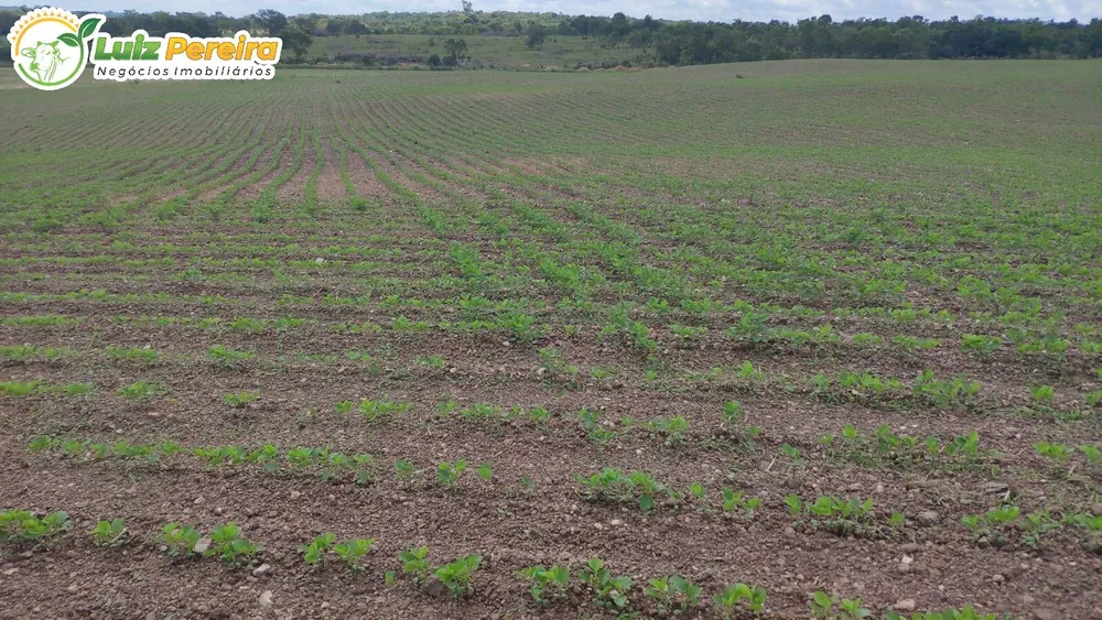 Terreno, 69212 hectares - Foto 1