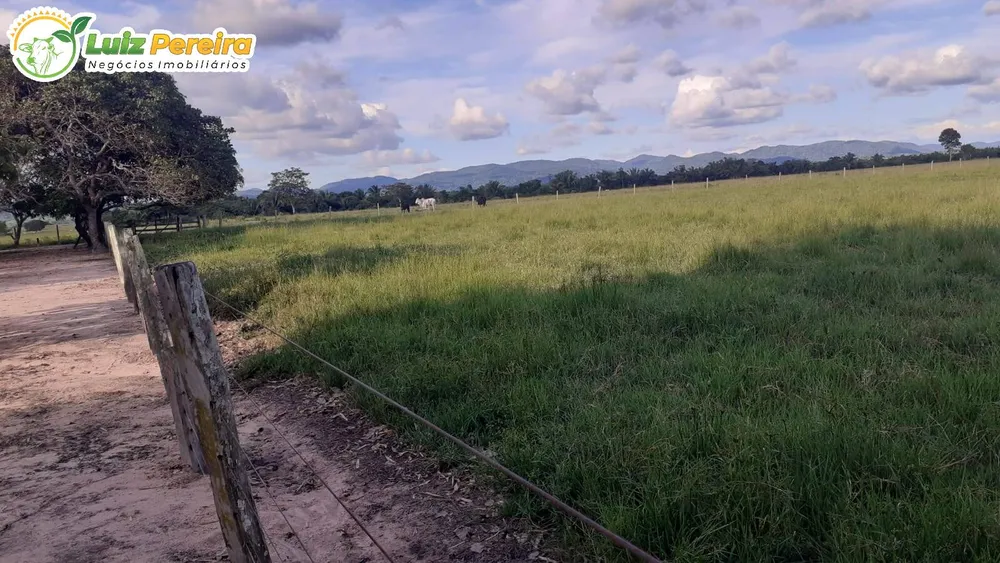 Terreno, 3146 m² - Foto 1