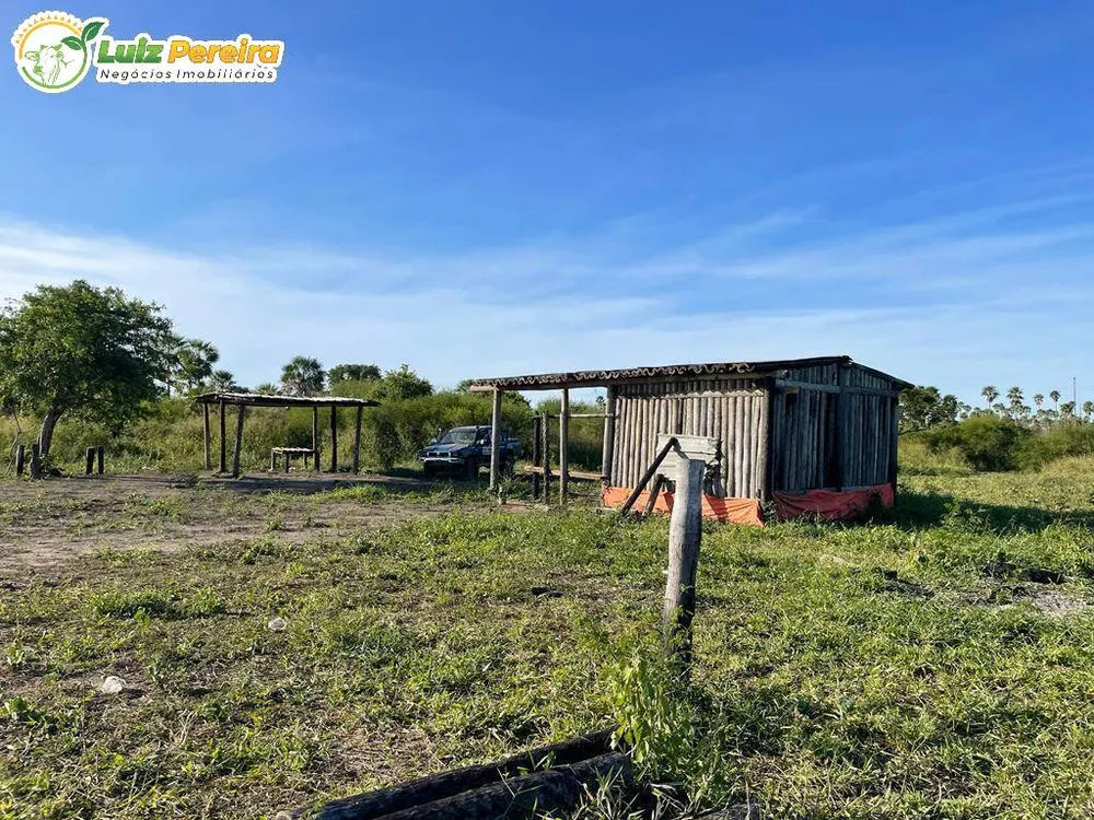 Terreno, 7976 m² - Foto 12