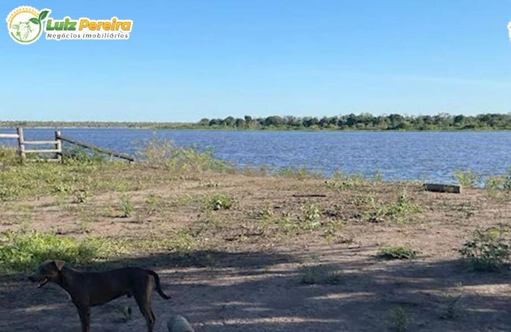 Terreno, 7976 m² - Foto 2