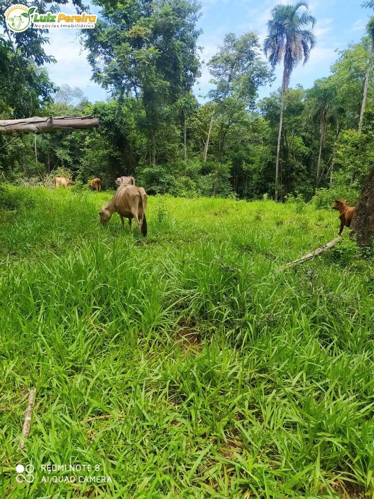 Terreno à venda, 50m² - Foto 3