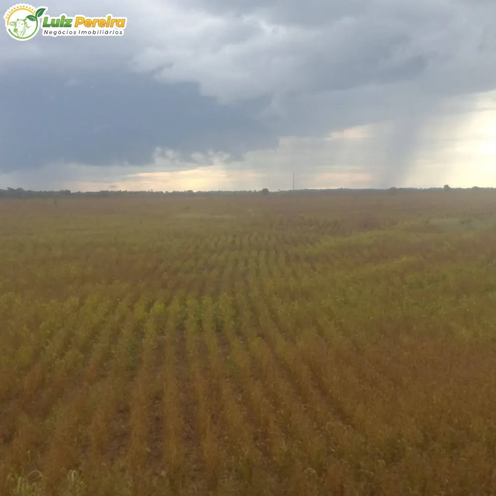 Terreno, 857 hectares - Foto 1